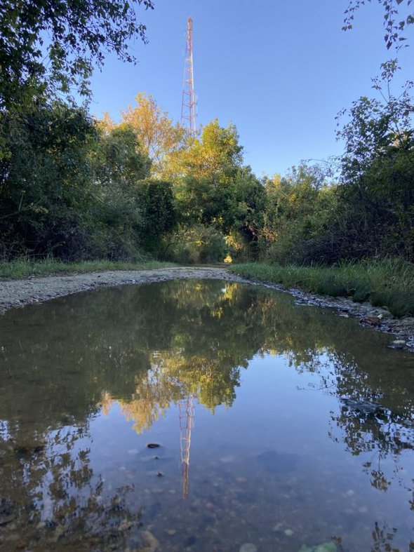 puddle on walking trail.