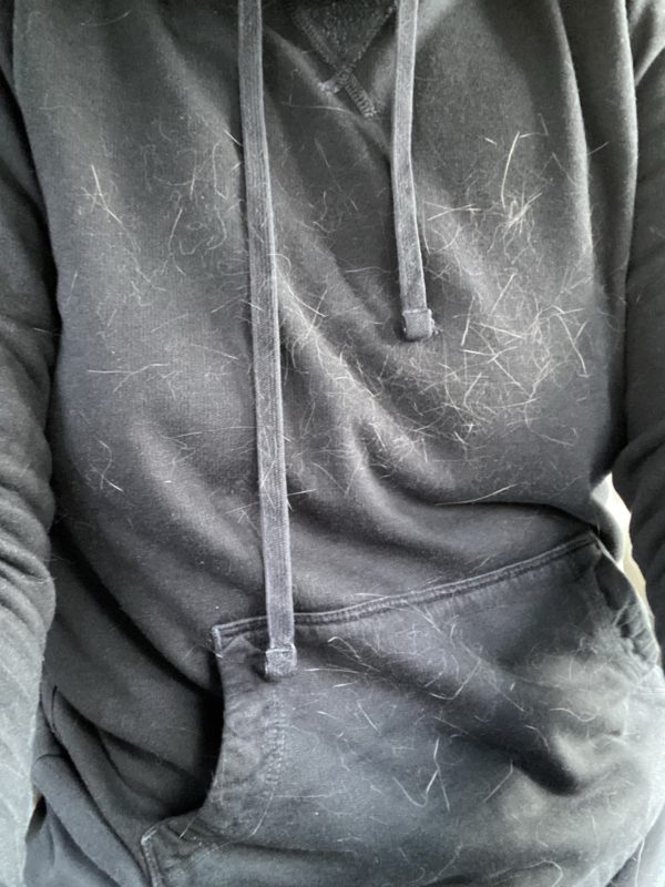 sweatshirt with cat hair on it.