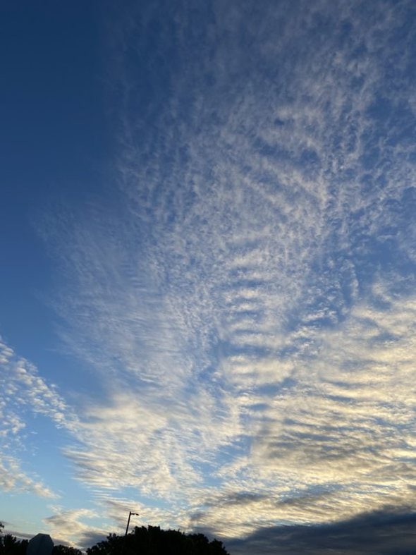 blue skies.