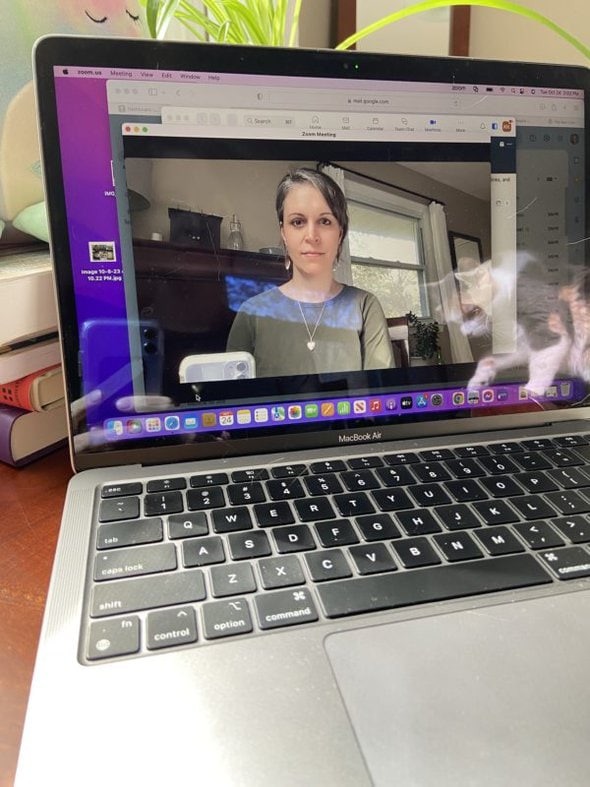 cat reflected in computer screen.