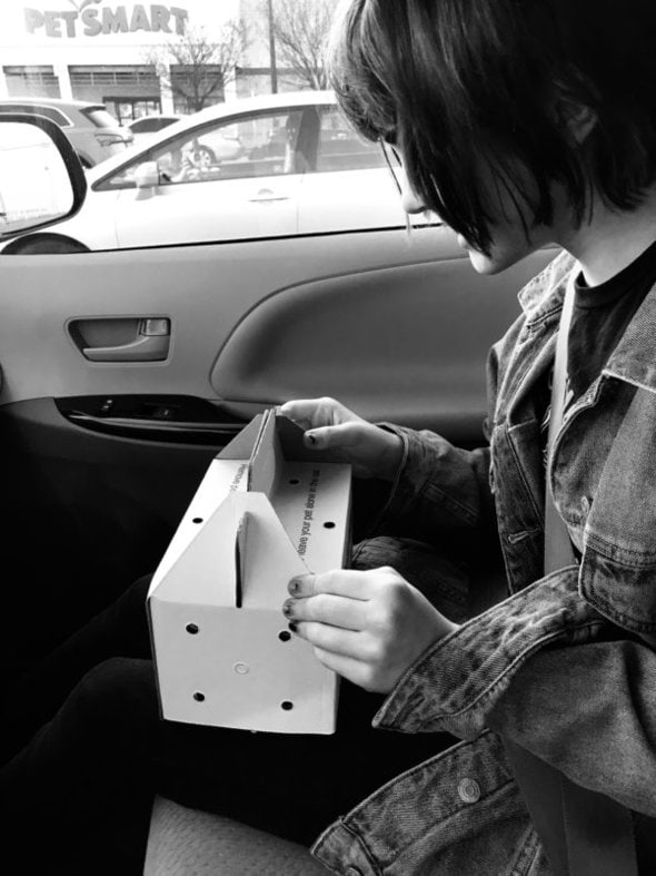 Zoe holding a box with  a hamster in it.