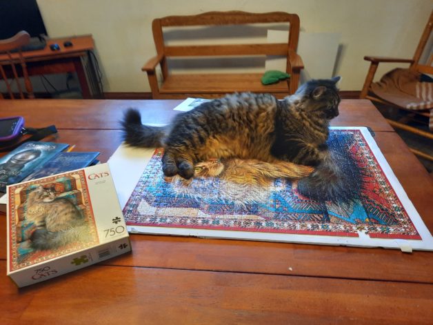 cat lying on puzzle.