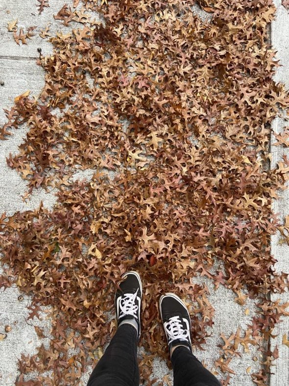 leafy sidewalk.