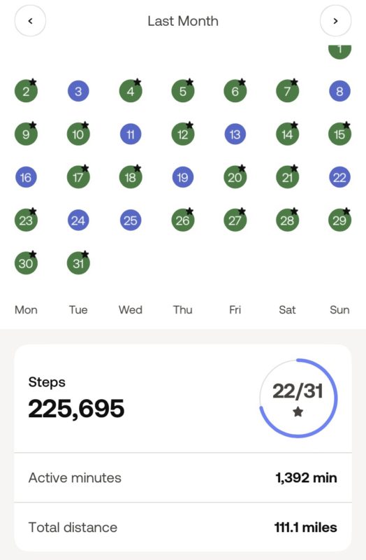 step tracker screenshot for October.