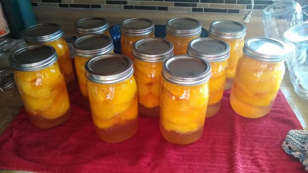 canned peaches.
