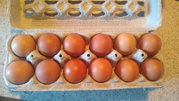 brown eggs.