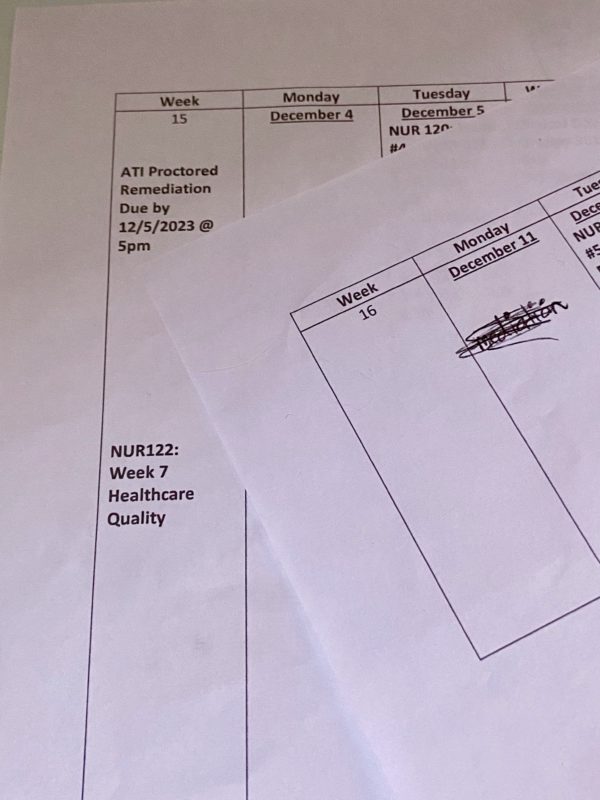 nursing school schedule papers.