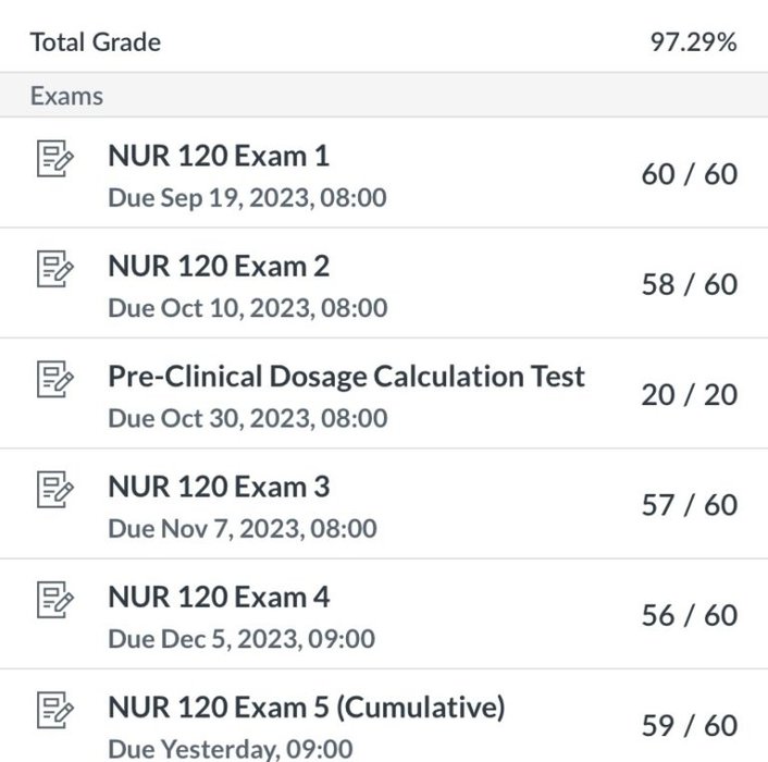 screenshot of grades.