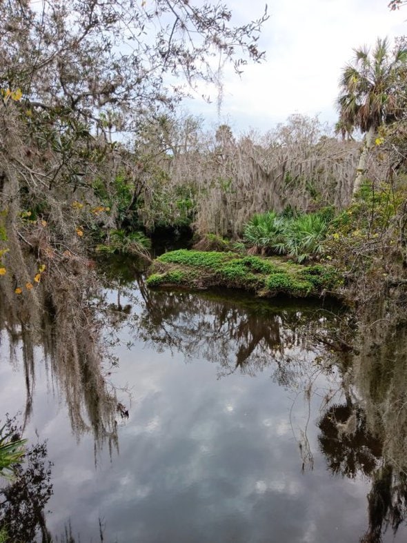 Turkey Creek in Florida