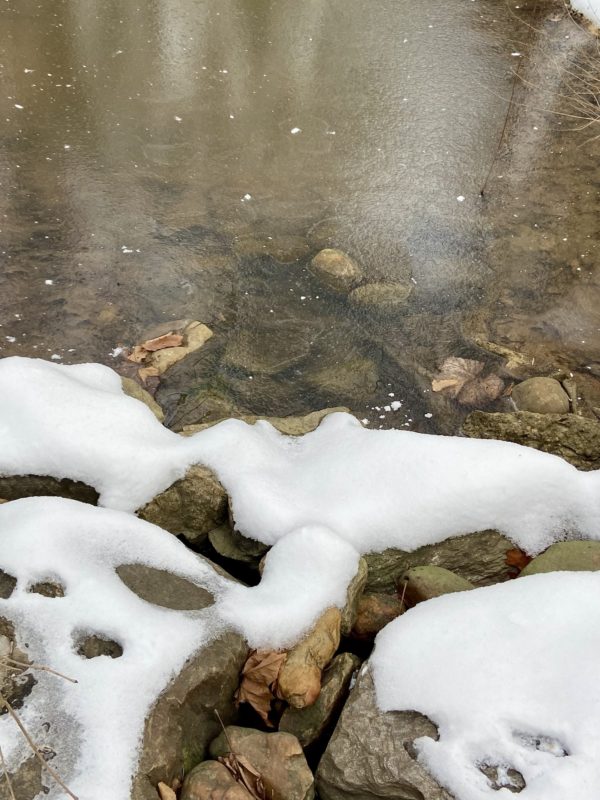 frozen creek.