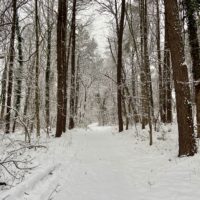 snowy trail.