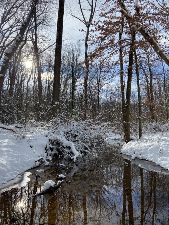 snowy creek.