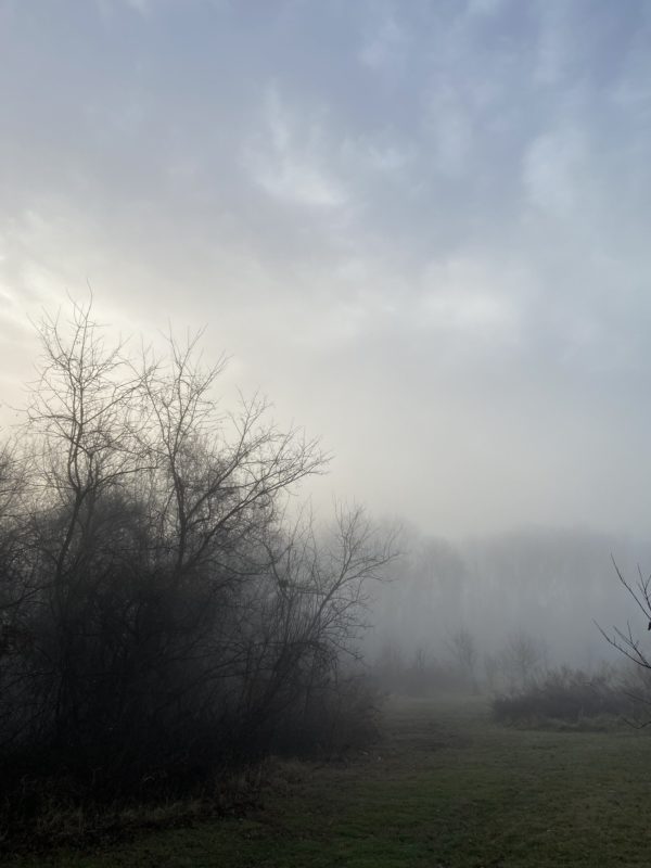 foggy scene.