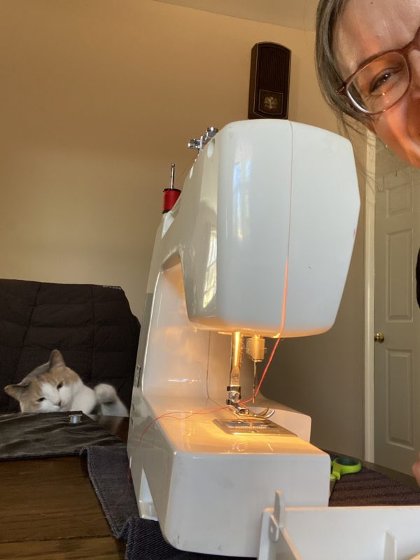 sewing machine and cat.
