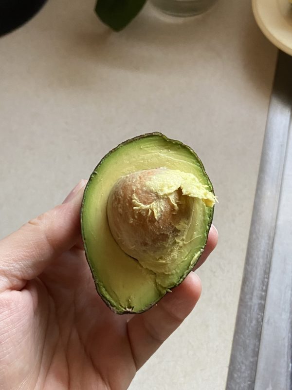 avocado with large pit.