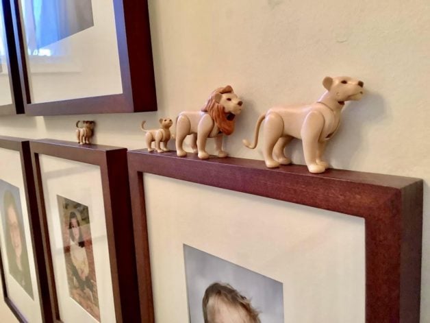lions on picture frames.