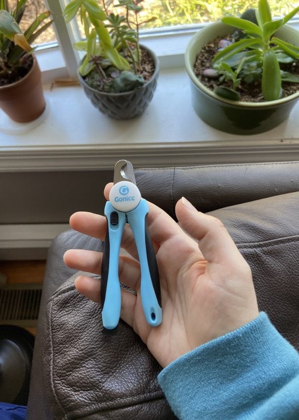 cat nail clippers.