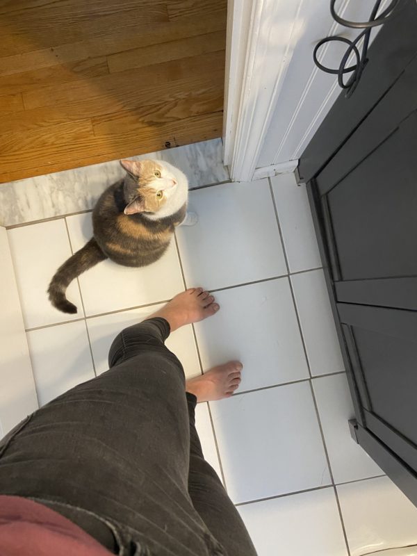 cat on bathroom floor.