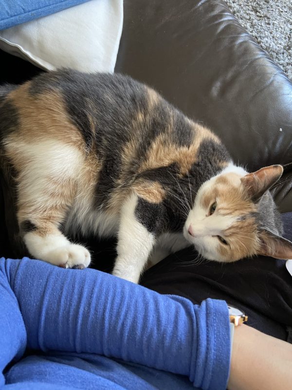 chiquita lying next to Kristen.