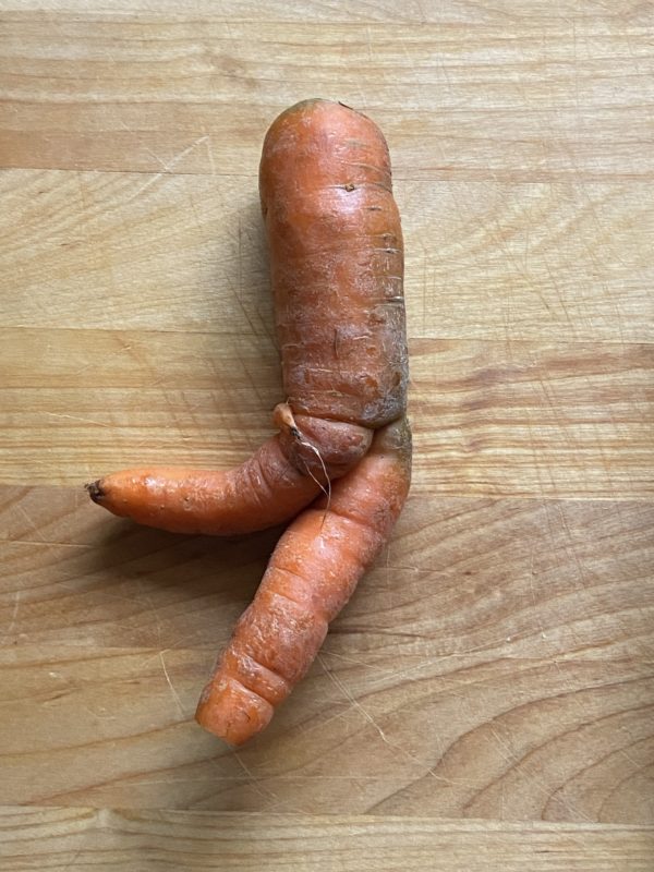 running carrot.