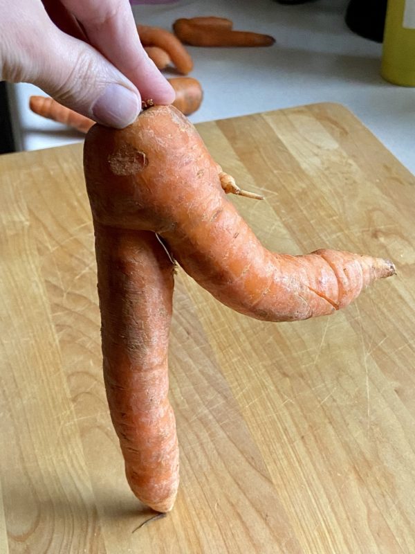 dancing carrot.