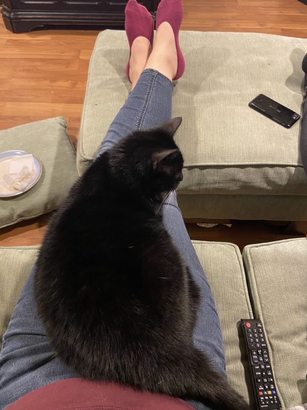 black cat in Kristen's lap.