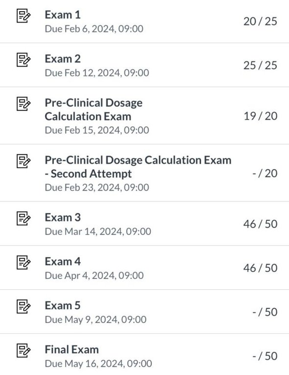 screenshot of exam grades.