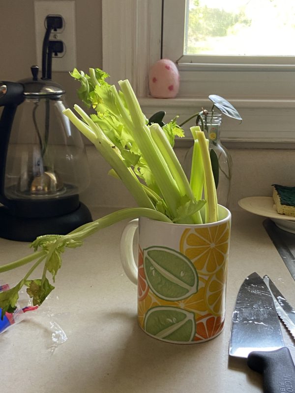 wilty celery.