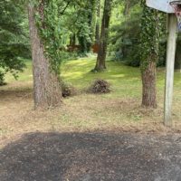 cleaned up parking pad.