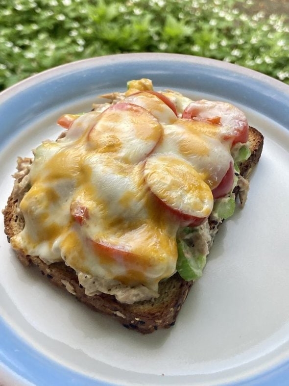 tuna melt on a plate.