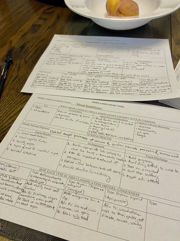 nursing school homework pages.