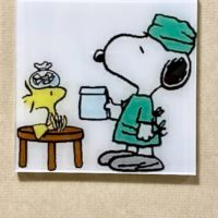 snoopy and woodstock.