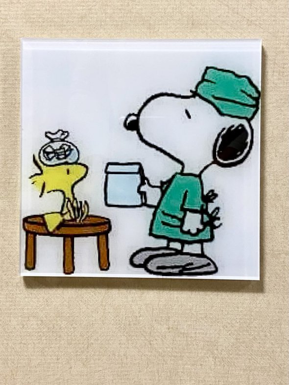 snoopy and woodstock.