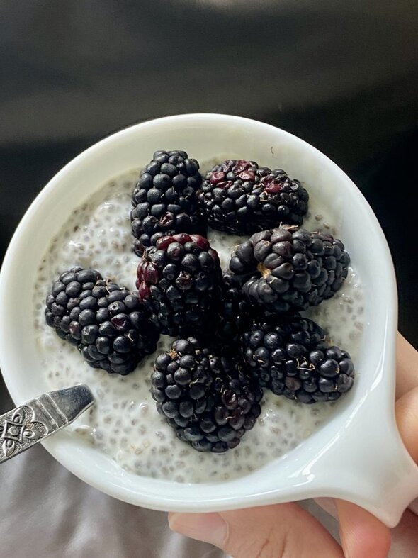 chia pudding.