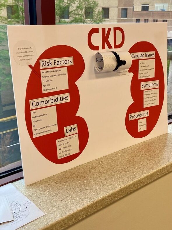 Kidney disease poster.