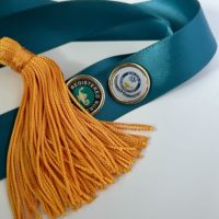 nursing pins and cord.