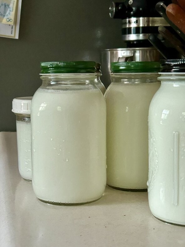 jars of yogurt.