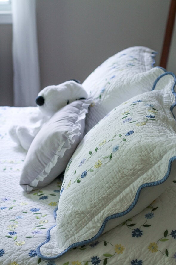 pilloW SHAMS.