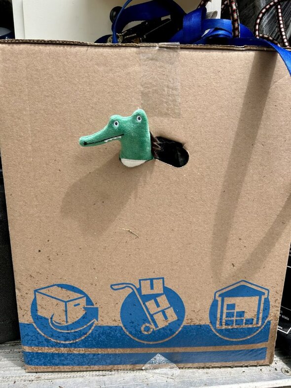 box with alligator.