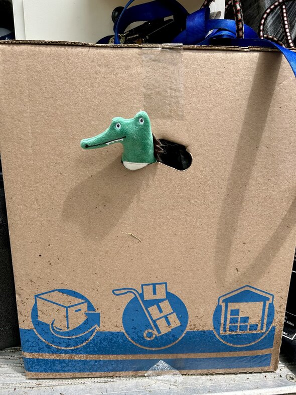 box with alligator.