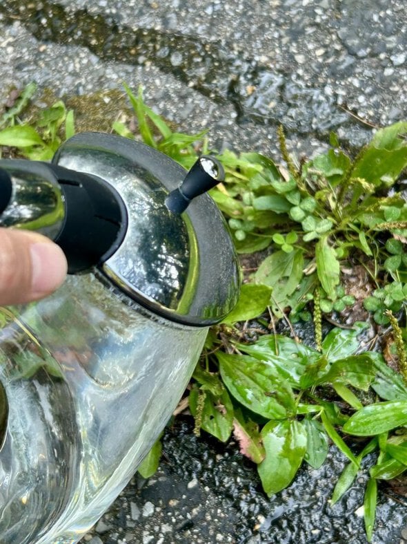 electric kettle.