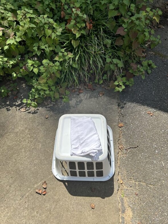 shirt on laundry basket.