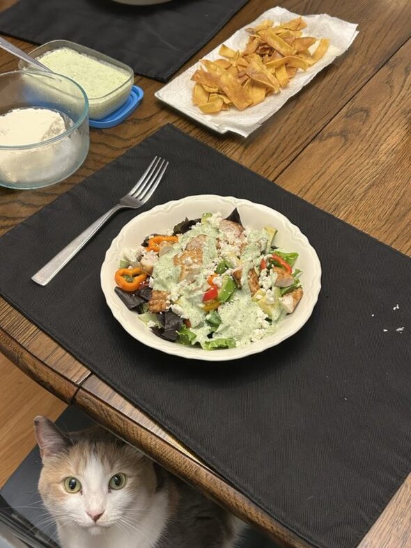 cat peeking from under table.