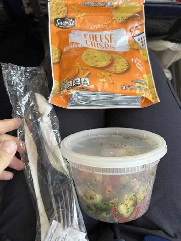 packed airplane food.