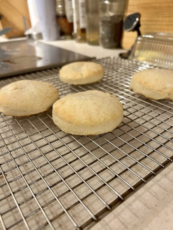 flat biscuits.
