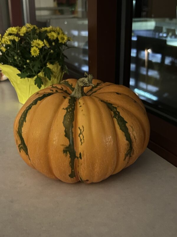 pumpkin at hospital.