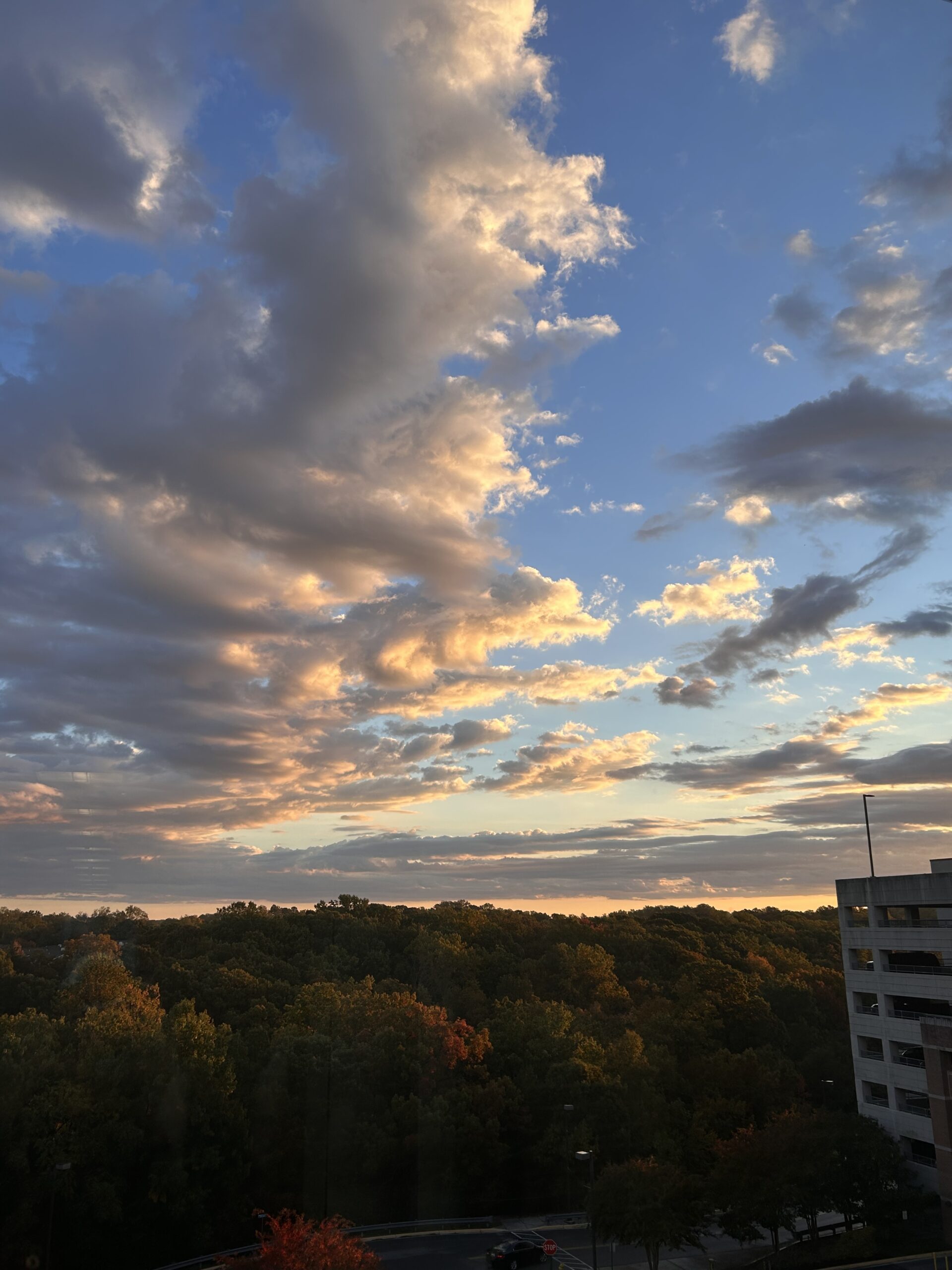 sunrise from hospital window.