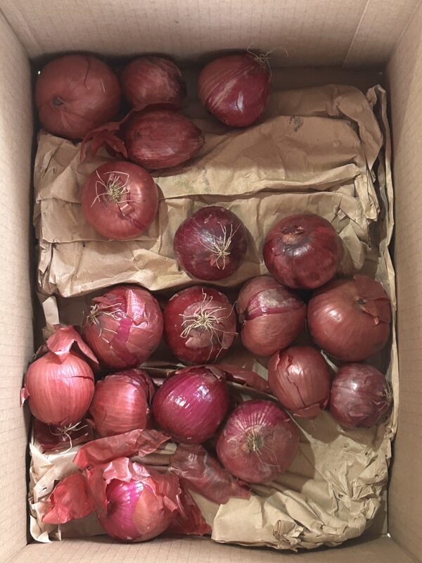 box of red onions.