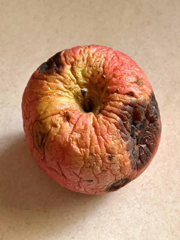 rotten apple.