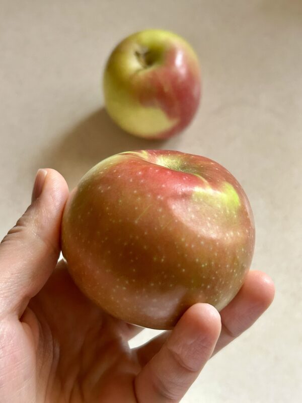 mcIntosh apples.
